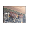 Roast Beef on a Spit