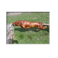 Whole Hog on a Spit